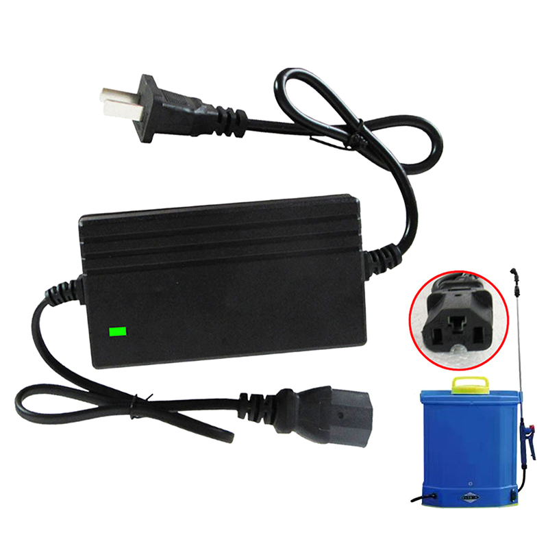 Chargeur de batterie au lithiu - Hand Tools Mechanical Workshop avis et prix